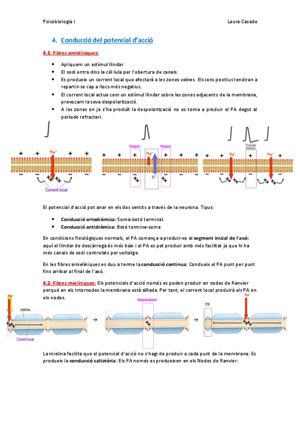 Miniatura del documento Resum tema 2 (4).pdf