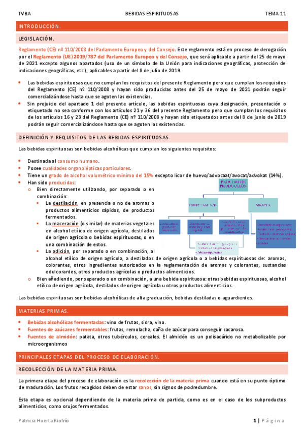 Miniatura del documento T11.pdf