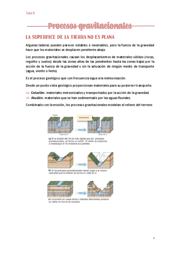 Miniatura del documento TEMA-6.pdf