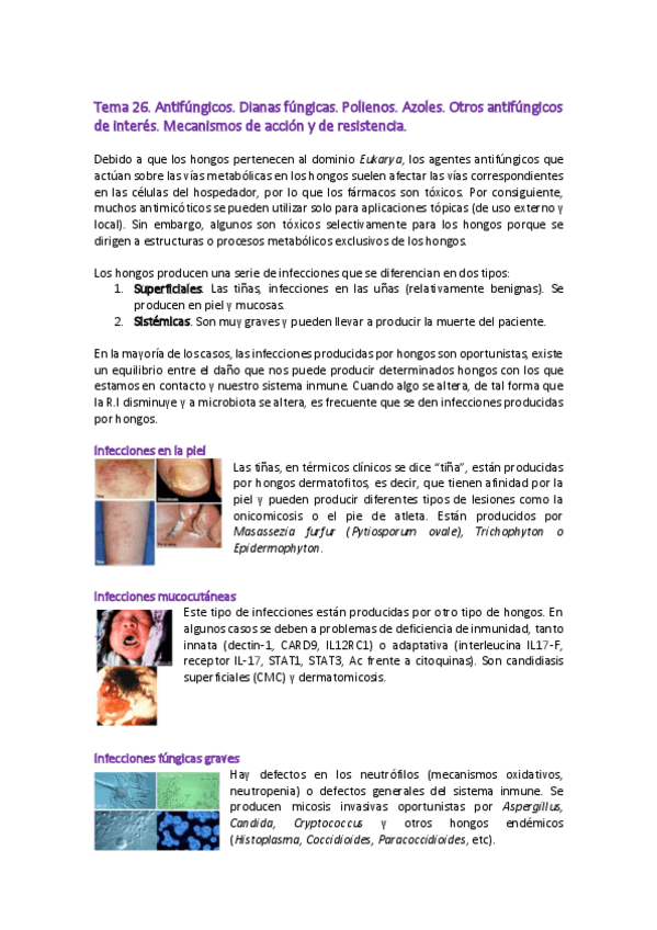 Miniatura del documento Tema-26-microbiologia.pdf