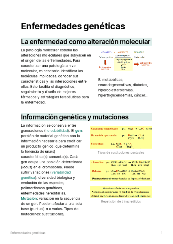 Miniatura del documento T01-Enfermedadesgenticas.pdf