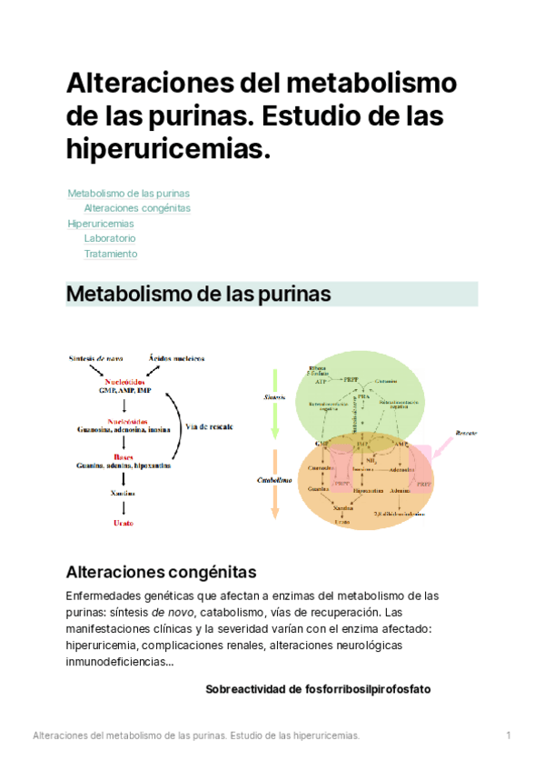 Miniatura del documento S05-Alteracionesdelmetabolismodelaspurinas.pdf
