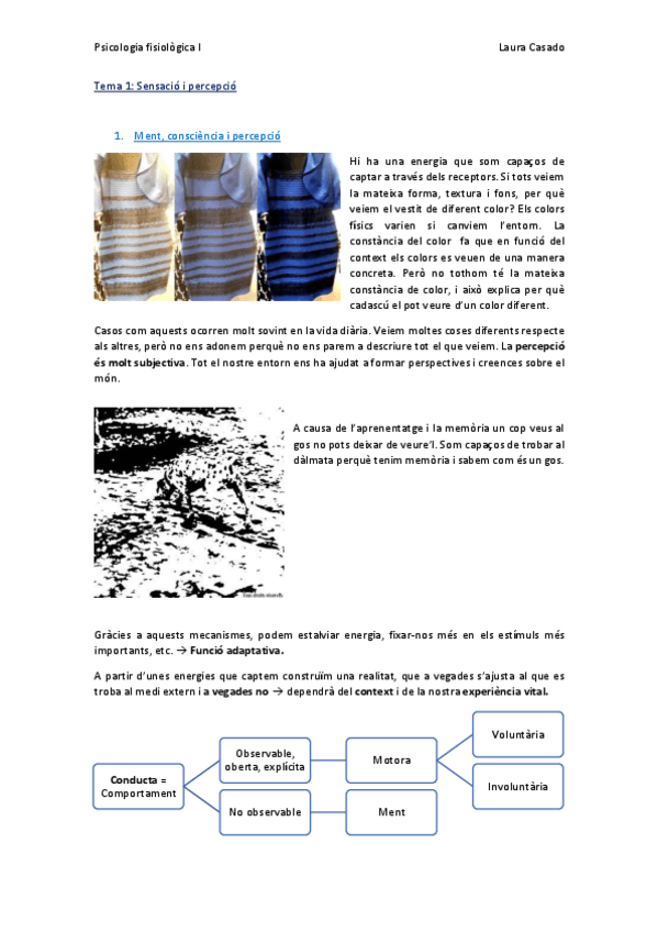 Miniatura del documento Tema 1_Complet.pdf