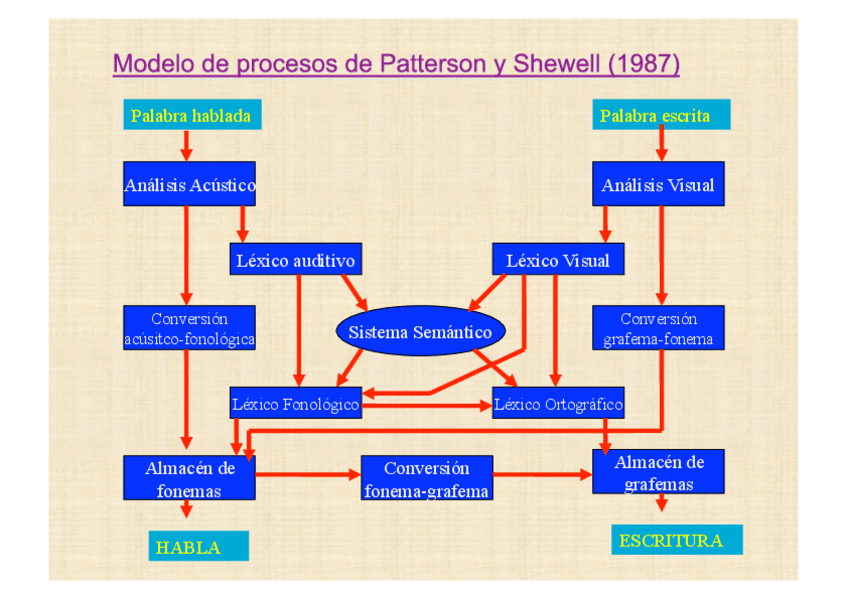 Miniatura del documento Tema10-NEURPSICOLOGIA-COGNITIVA-SUPUESTOS-Y-MODELOS.pdf