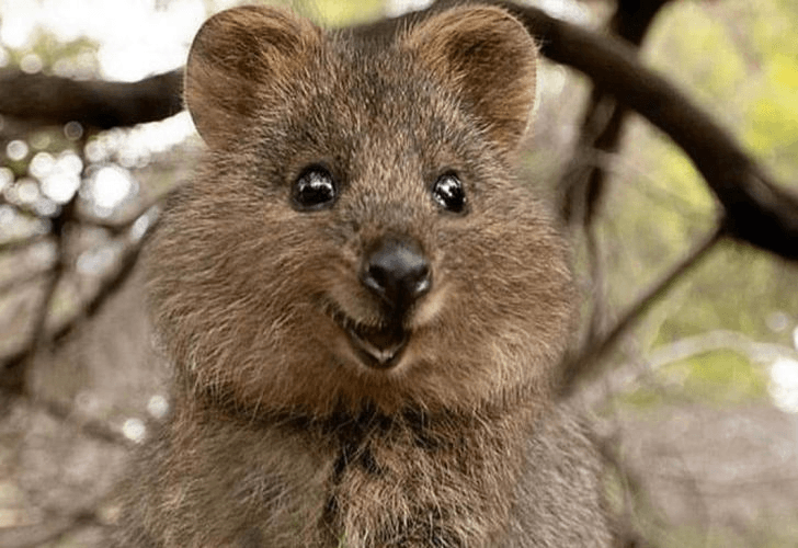 Miniatura del documento respuestas-genitourinario.jpg