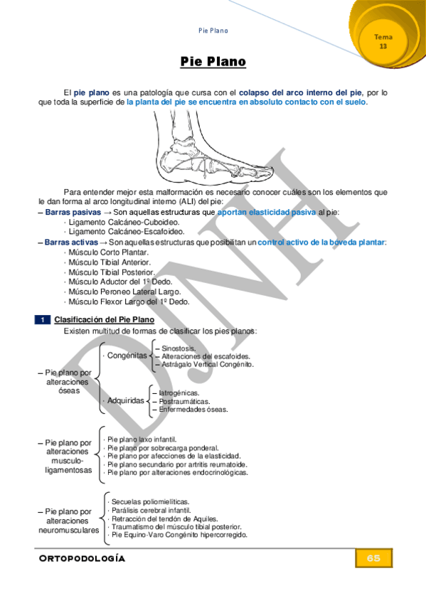 Miniatura del documento 13.pdf