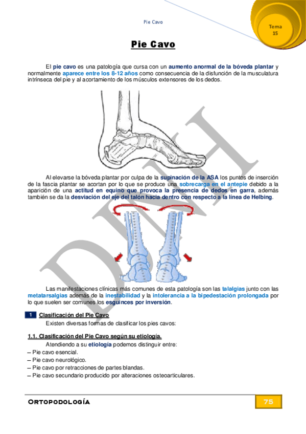 Miniatura del documento 15.pdf