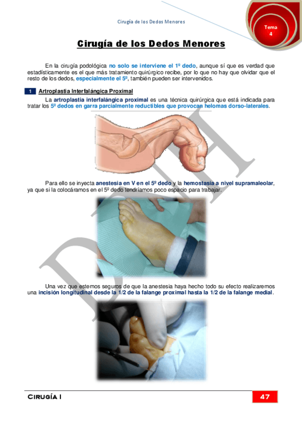 Miniatura del documento 4.pdf