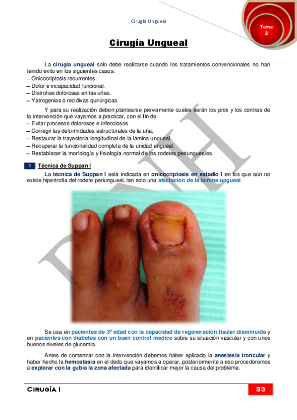 Miniatura del documento 3.pdf