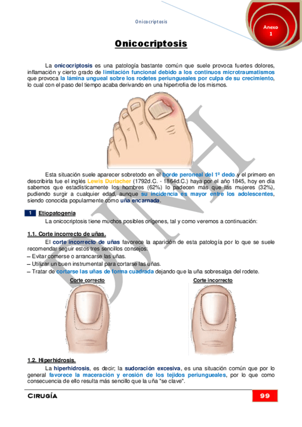 Miniatura del documento Anexo-1Onicocriptosis.pdf