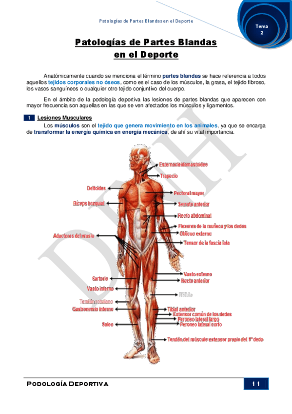 Miniatura del documento 2.pdf