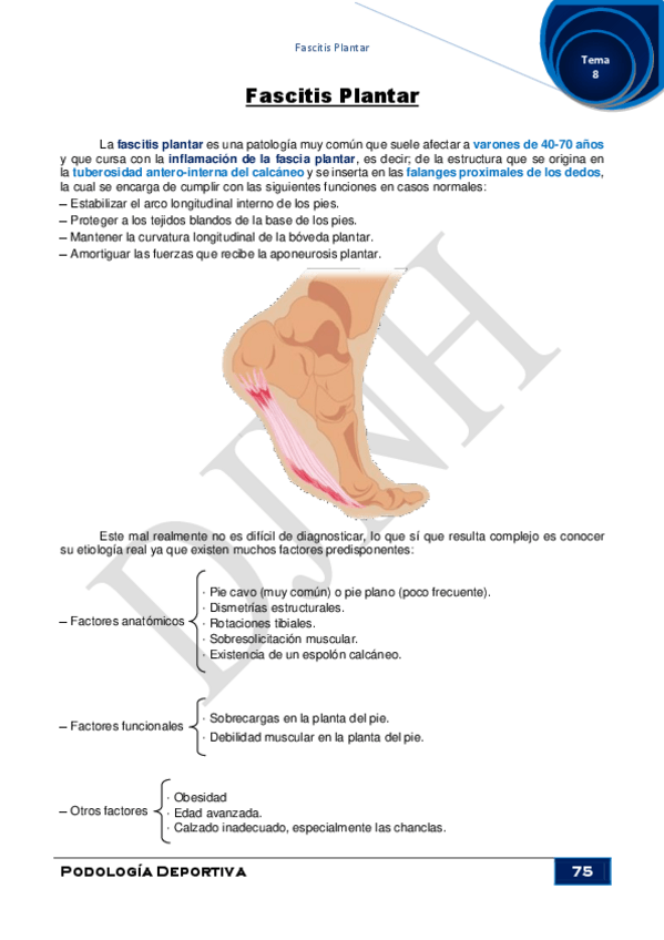 Miniatura del documento 8.pdf