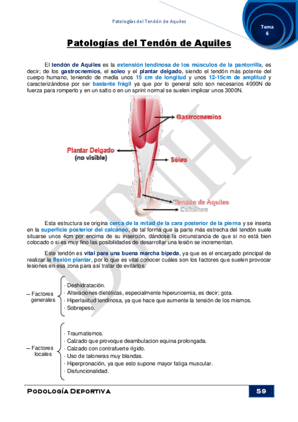 Miniatura del documento 6.pdf