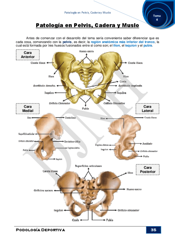 Miniatura del documento 4.pdf