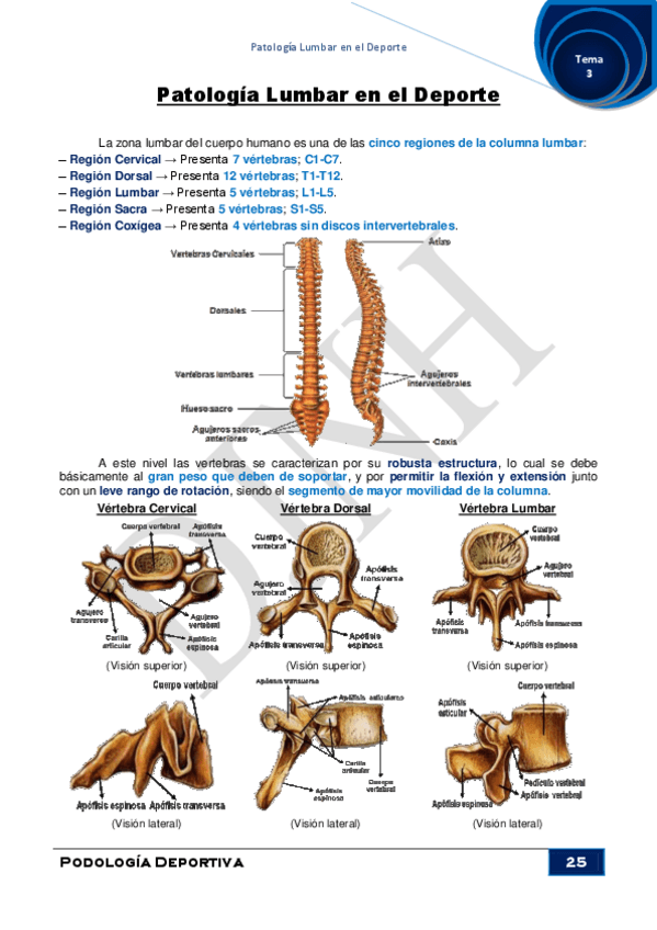 Miniatura del documento 3.pdf