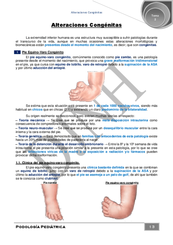 Miniatura del documento 2.pdf