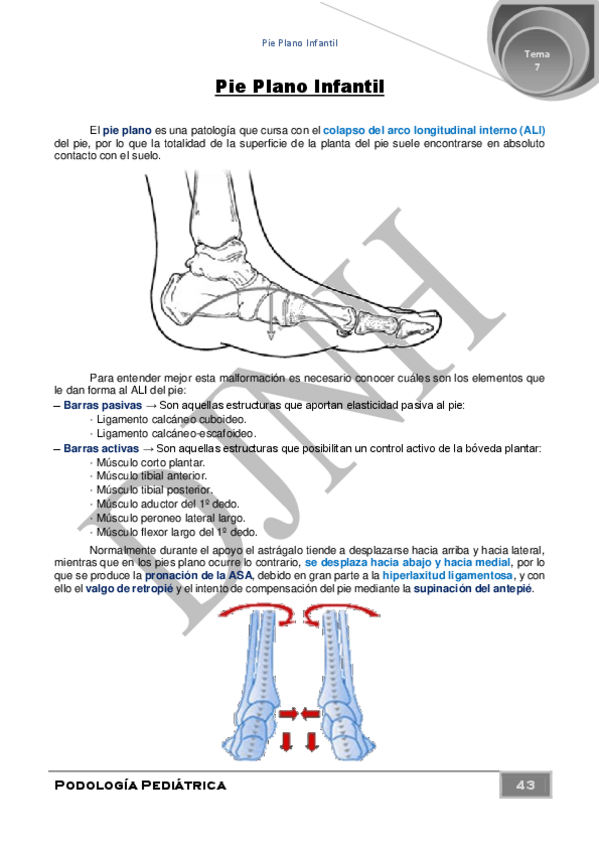 Miniatura del documento 8.pdf