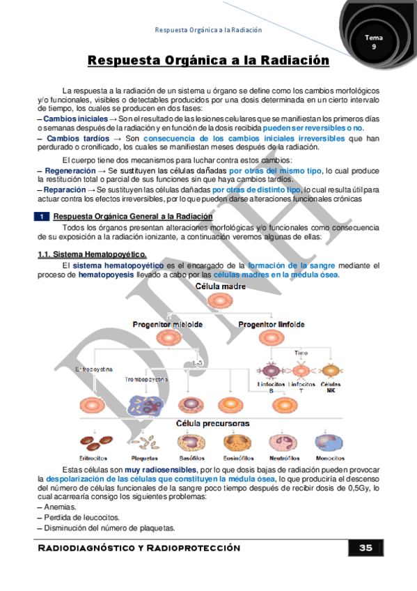 Miniatura del documento 9.pdf