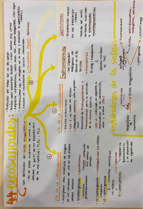 Miniatura del documento Segundo-parcial-BQ2.pdf