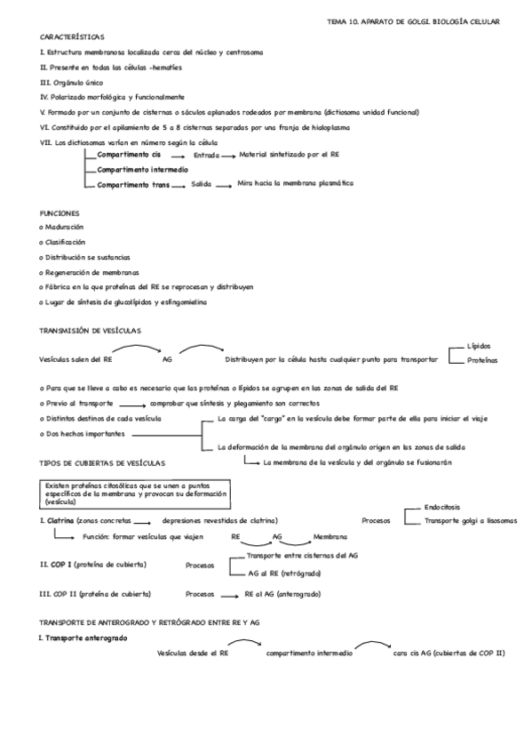 Miniatura del documento ESQUEMAS-TEMAS-10-y-11.pdf