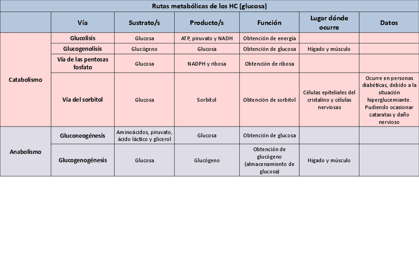 Miniatura del documento Tabla-metabolismo-HC.pdf