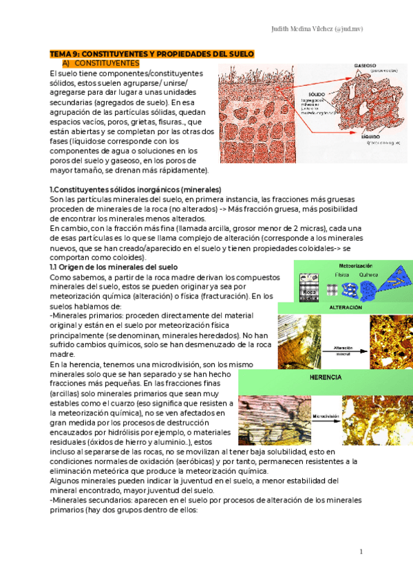 Miniatura del documento TEMA-9-CONSTITUYENTES-Y-PROPIEDADES-DEL-SUELO-1.pdf