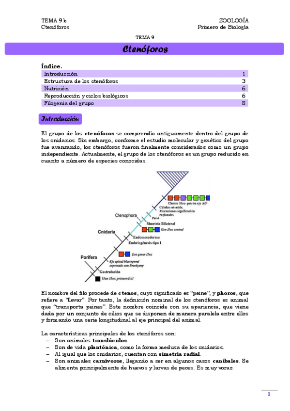 Miniatura del documento TEMA 9.b. Ctenóforos