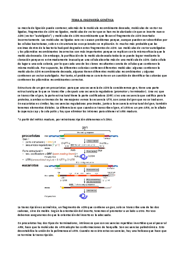 Miniatura del documento tema-8.pdf