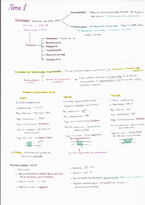 Miniatura del documento Resumen-temario-repaso.pdf