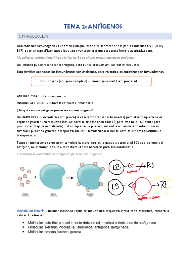 Miniatura del documento TEMA-2.pdf