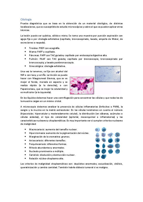 Miniatura del documento Practica-3.pdf