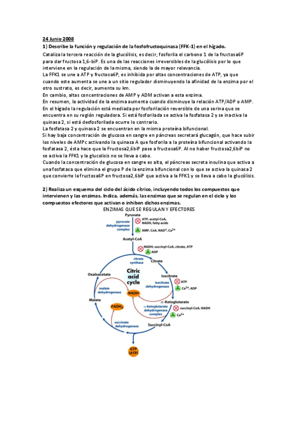 Miniatura del documento Preguntas teóricas examenes.pdf