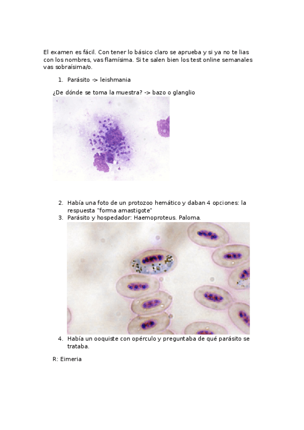 Miniatura del documento Examen-practico-parasitologia.docx