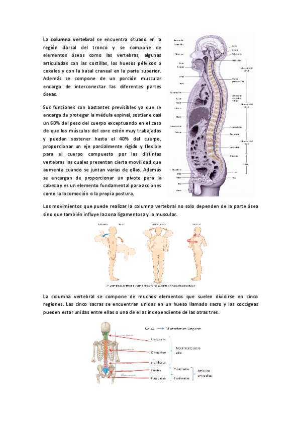 Miniatura del documento COLUMNA.pdf