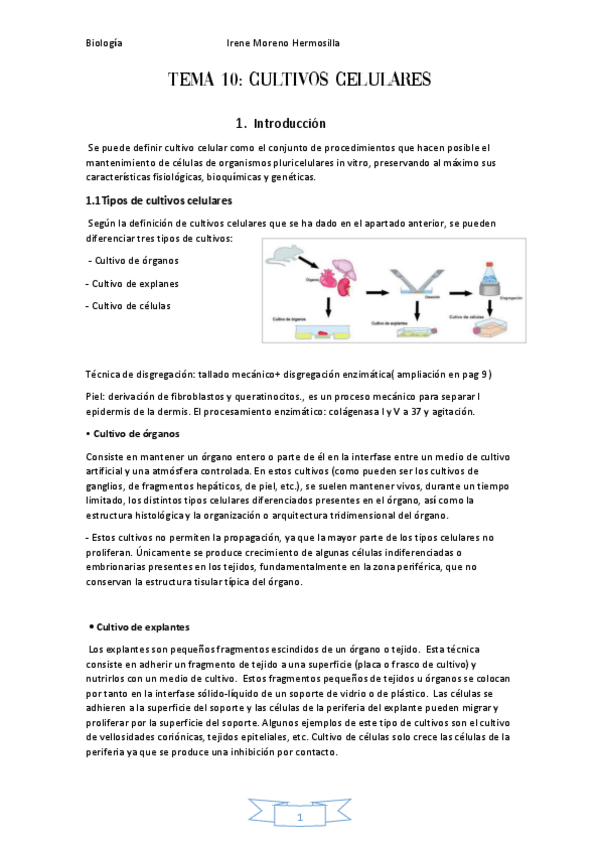 Miniatura del documento Tema-10-cultivos-celulares.pdf