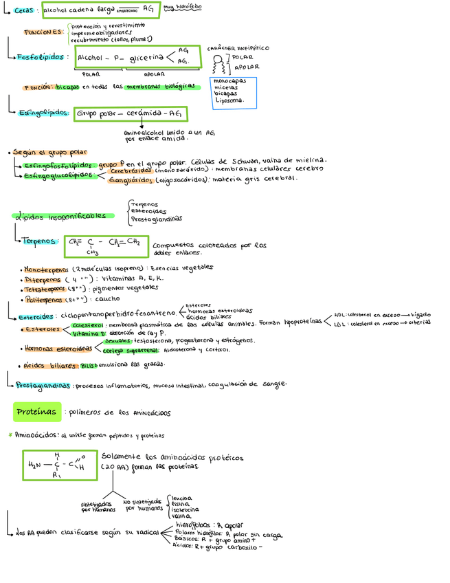 Miniatura del documento Bio-Ev1-05.jpg