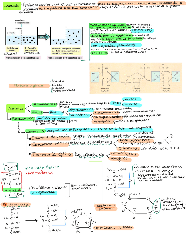 Miniatura del documento Bio-Ev1-03.jpg
