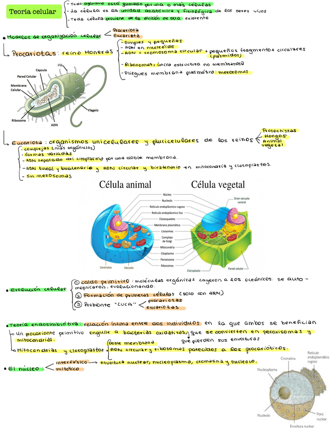 Miniatura del documento Bio-Ev1-08.jpg
