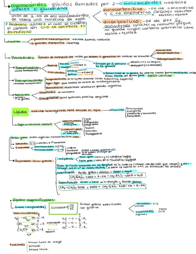 Miniatura del documento Bio-Ev1-04.jpg