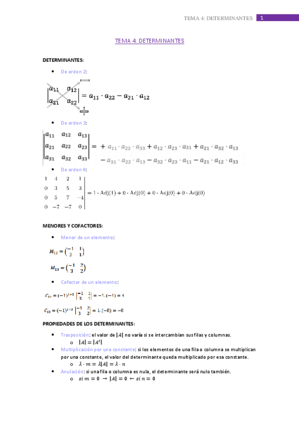 Miniatura del documento tema-4.pdf
