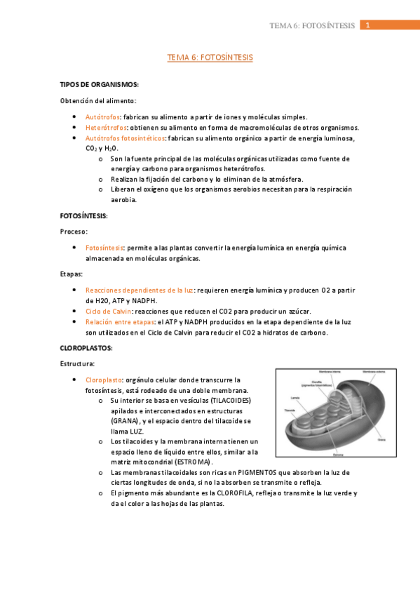 Miniatura del documento tema-6.pdf