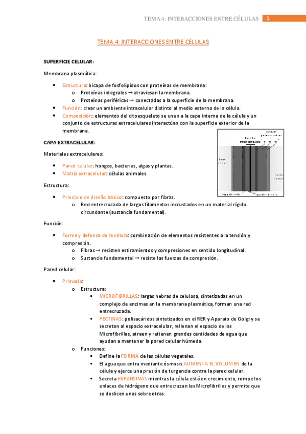 Miniatura del documento tema-4.pdf