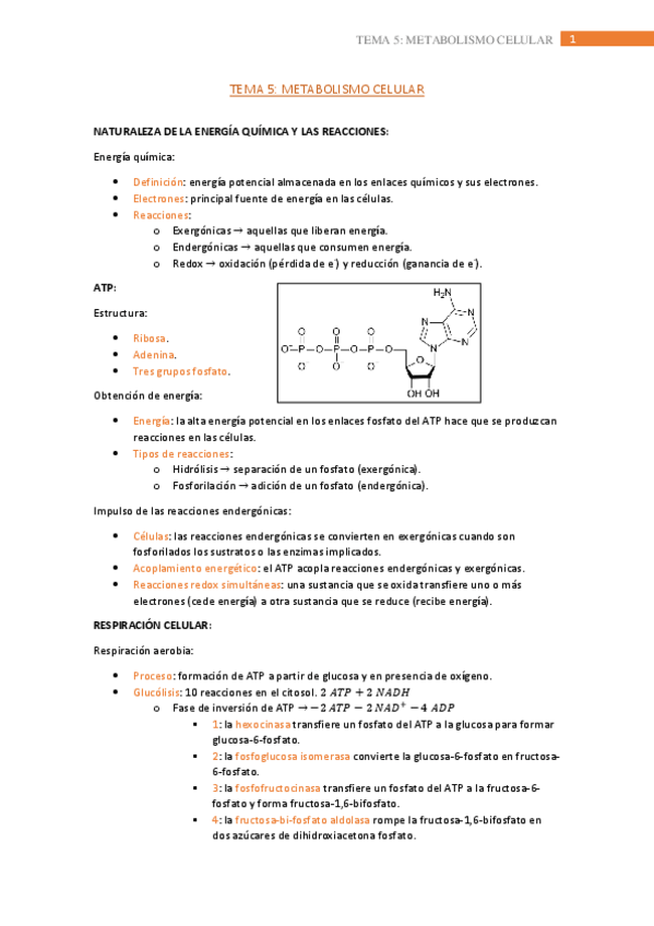 Miniatura del documento tema-5.pdf