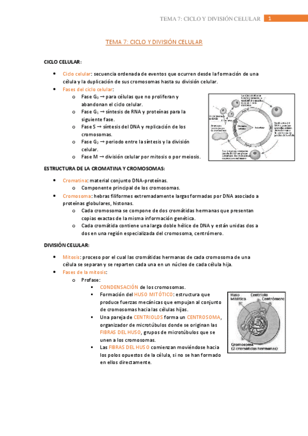 Miniatura del documento tema-7.pdf
