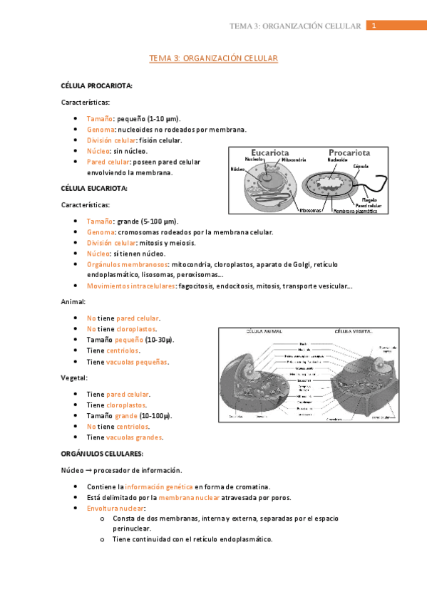 Miniatura del documento tema-3.pdf