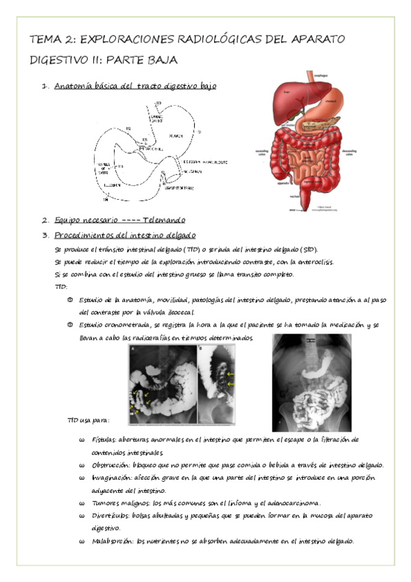 Miniatura del documento tema-2-rad-especial.pdf