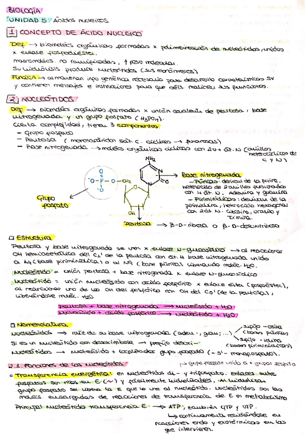 Miniatura del documento UD5.pdf