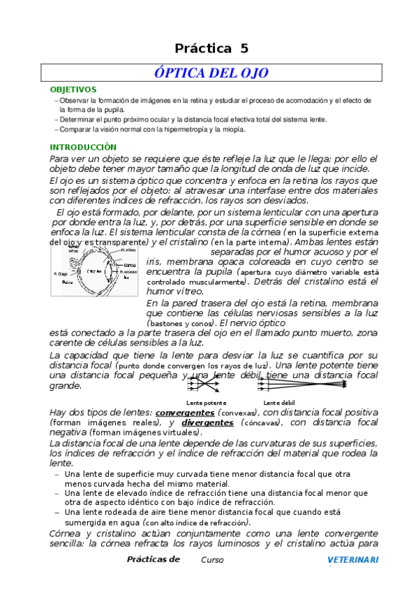 Miniatura del documento Practica-5-OPTICA-DEL-OJO.docx