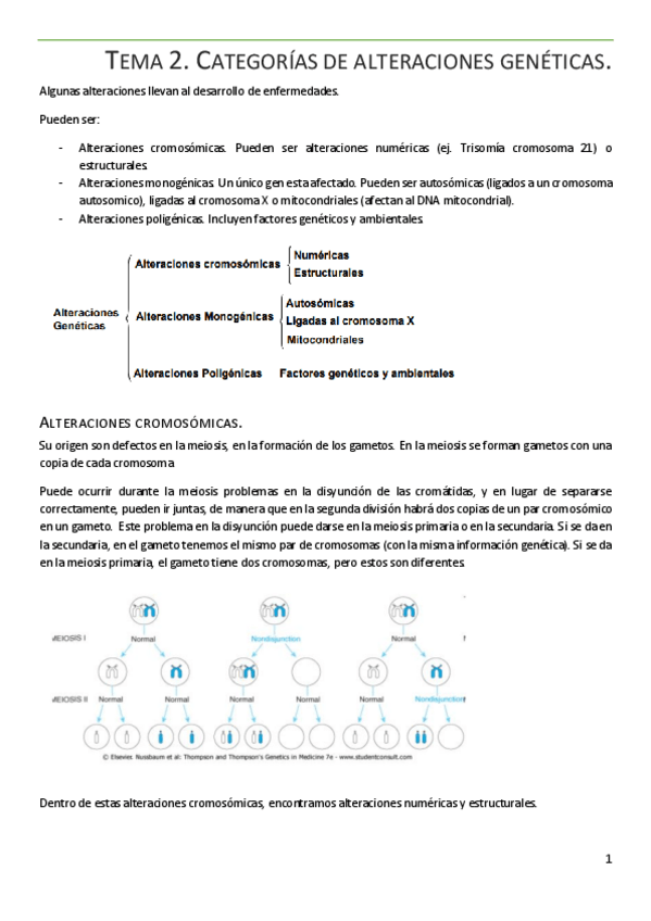Miniatura del documento Tema-2.pdf