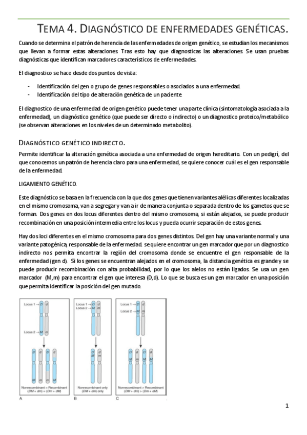 Miniatura del documento Tema-4.pdf